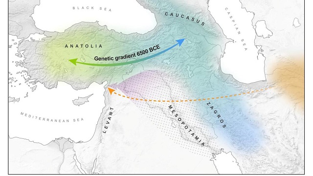 west asia which includes anatolia present day turkey the northern levant and the southern caucasus is seen in a partial map obtained by reuters june 1 2020 an international team of researchers showed populations from anatolia and the caucasus started genetically mixing around 6 500 bc and that small migration events from mesopotamia 4 000 years ago brought further genetic mixture to the region the orange marker shows the route from central asia dna from a lone ancient woman revealed proof of long distance migration during the late bronze age about 4 000 years ago from central asia to the mediterranean coast courtesy of max planck harvard research center for the archaeoscience of the ancient mediterranean photo reuters