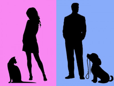 dog people are more lovable and cat people are mostly single
