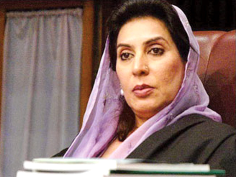 federal minister for ipcc dr fehmida mirza is the chairperson photo file