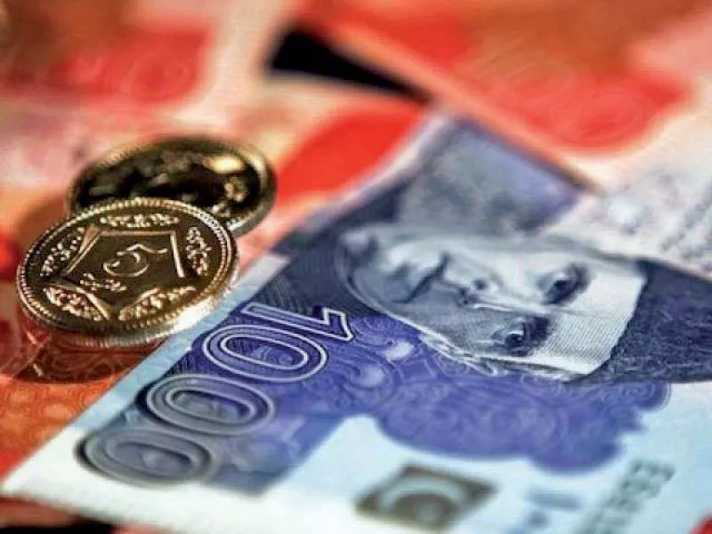 the cut in the rate of profit has made the national saving schemes less attractive and has made it more difficult to raise the remaining 55 financing by the end of fy20 photo file the cut in the rate of profit has made the national saving schemes less attractive and has made it more difficult to raise the remaining 55 financing by the end of fy20 photo file