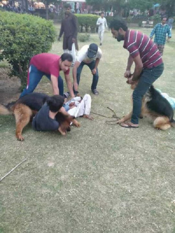 case dropped against dog owner after agreement reached with family of 13 year old boy victim photo express case dropped against dog owner after agreement reached with family of 13 year old boy victim photo express