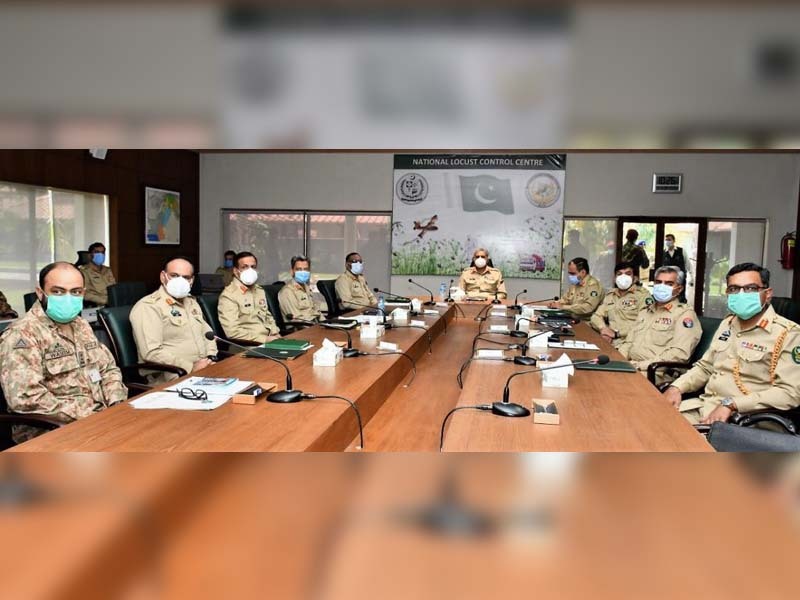 army to help civil administration combat locust threat says gen qamar