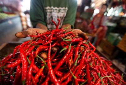 chilli market s closure spawns respiratory diseases in naukot chilli market s closure spawns respiratory diseases in naukot