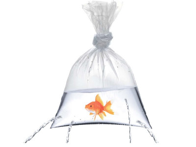 still fishy fisheries struggling to stay afloat still fishy fisheries struggling to stay afloat