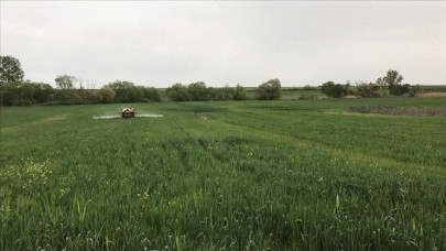 pesticides push insects into global decline report