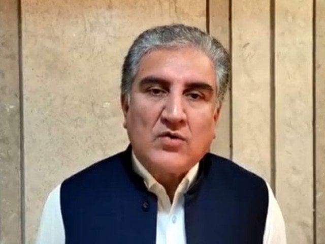 fm qureshi called upon the international community to take cognisance of the situation and play an active role in resolving the outstanding disputes of palestine and kashmir screengrab