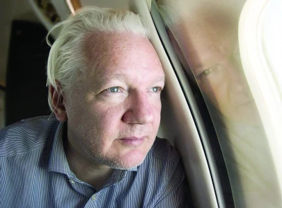 wikileaks founder to be free man