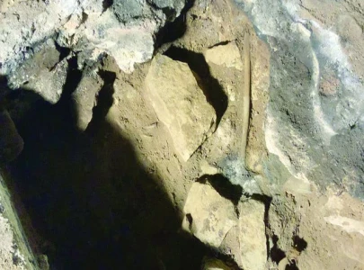 healing ritual passed down over 12 000 years