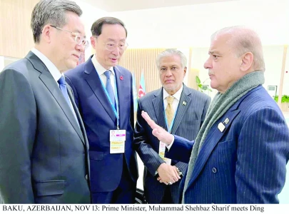 chinese vp offers help to overcome security challenges in pakistan chinese vp offers help to overcome security challenges in pakistan