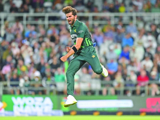 green shirts outplay proteas to win odi series green shirts outplay proteas to win odi series