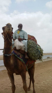 high and dry deserted beaches leave poor vendors jobless high and dry deserted beaches leave poor vendors jobless