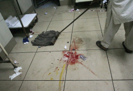 minister removes thq hospital ms over negligence