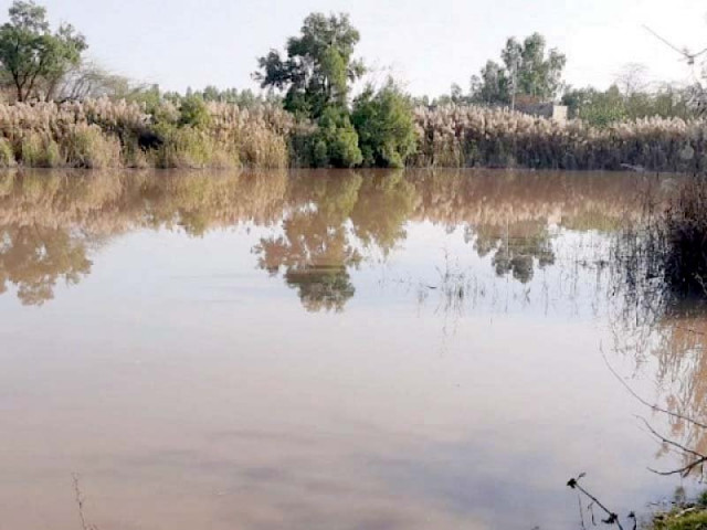 there are several ponds of stagnant water which are breeding grounds for mosquitos photo express there are several ponds of stagnant water which are breeding grounds for mosquitos photo express