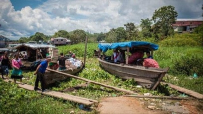 covid 19 deforestation cripple life in amazon