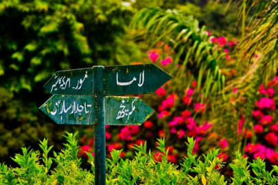 lockdown effects karachi zoo animals desperate for human interaction lockdown effects karachi zoo animals desperate for human interaction