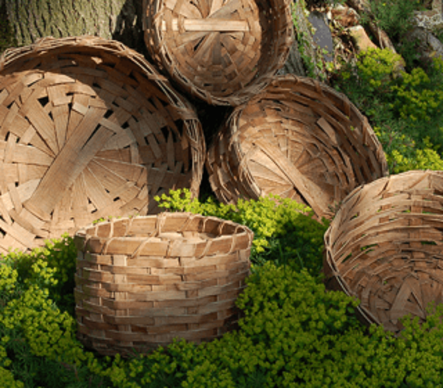 the rural art of weaving mulberry baskets