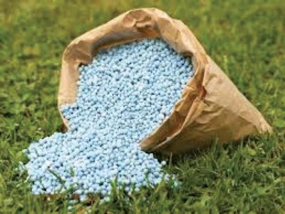 urea prices feared to rise by rs200 per bag urea prices feared to rise by rs200 per bag