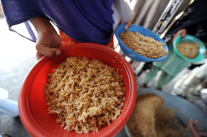 food insecurity and hunger in pakistan