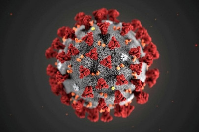 china to run human coronavirus vaccine trial in uae china to run human coronavirus vaccine trial in uae