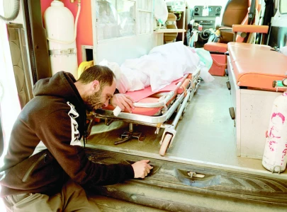 8 palestinians killed in jenin