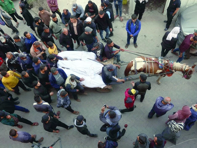 the bodies of victims killed in israeli airstrikes are carried on a horse cart outside al ahli arab hospital in gaza photo afp the bodies of victims killed in israeli airstrikes are carried on a horse cart outside al ahli arab hospital in gaza photo afp