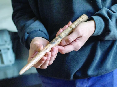 prehistoric tools made of whale bones found in france prehistoric tools made of whale bones found in france