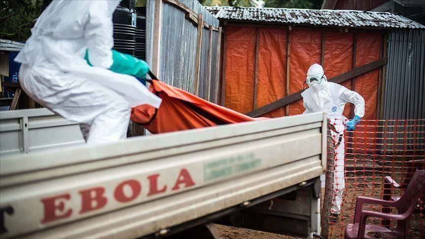 ebola a tropical fever that first appeared in 1976 in sudan and the drc is transmitted to humans from wild animals photo aa