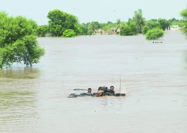 mixed impact of rains on crops mixed impact of rains on crops