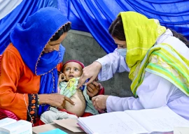 new recipes help fight malnutrition new recipes help fight malnutrition