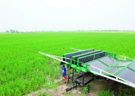 solar powered farming increases yield solar powered farming increases yield