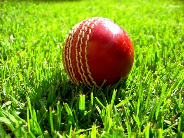 cricketing fortunes