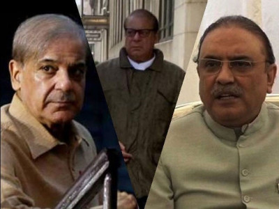 shehbaz asks zardari to refrain from derogatory remarks