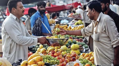 bittersweet bribes everybody was fresh fruit fighting