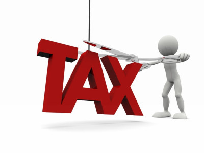 an issue of allowances federal government taxing taxmen s patience
