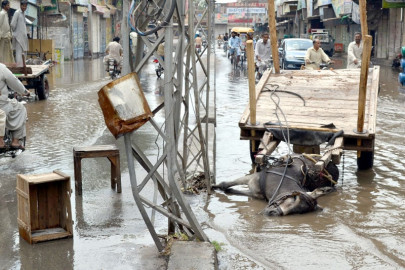 torrential rains kill 21 in south sindh torrential rains kill 21 in south sindh