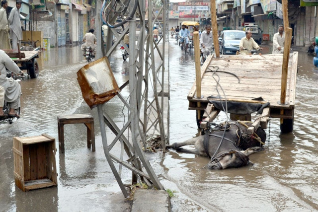 torrential rains kill 21 in south sindh torrential rains kill 21 in south sindh