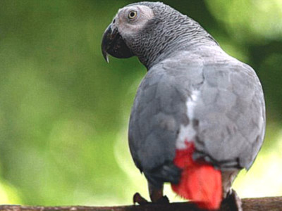 offbeat mittu has a way with words