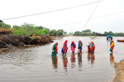 monsoon havoc rehab ministry asks for rs5b for pdma monsoon havoc rehab ministry asks for rs5b for pdma