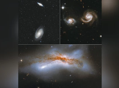 from near certainty to a coin flip