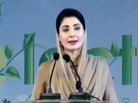 punjab secures active role in cop30