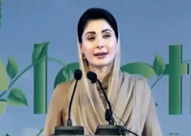 maryam stokes ppp ire over cholistan canal plan maryam stokes ppp ire over cholistan canal plan