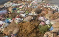meat waste dumping around airports banned meat waste dumping around airports banned