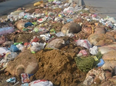 meat waste dumping around airports banned