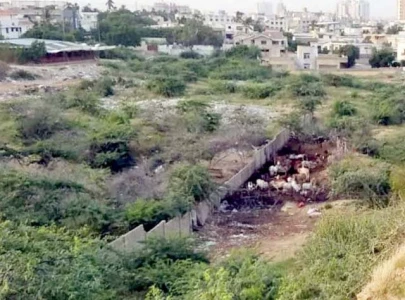hill park land row triggers verbal slugfest