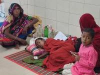 measles claims 53 children