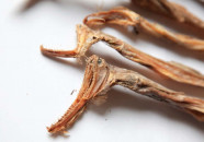 food for thought in a pickle for iftari hit hyderabad colony s achar gali