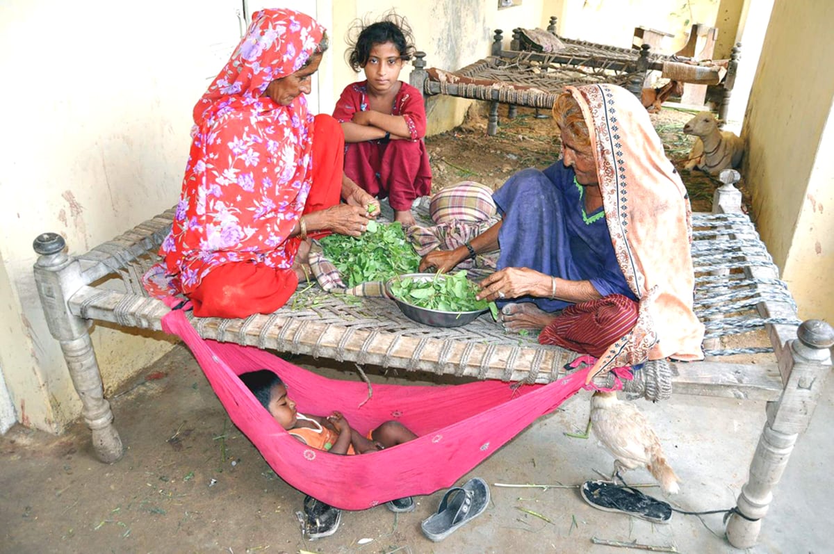 sindh floods thousands in need of aid as funds for rescue operations stay blocked