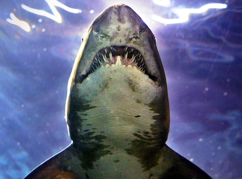 Updated Aug 17, 2011