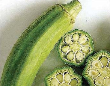 outstanding okra outstanding okra