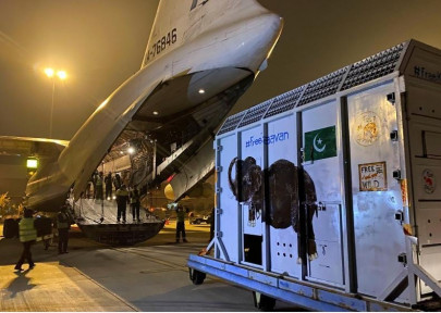 kaavan pakistan s lonesome elephant starts new life in cambodia kaavan pakistan s lonesome elephant starts new life in cambodia